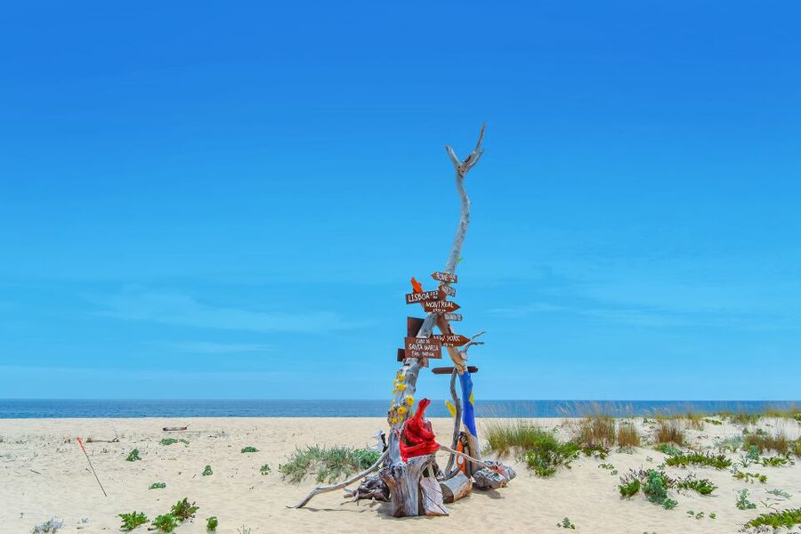 From Faro: Ria Formosa Hop-On Hop-Off 3 Islands Cruise - Desert Island (Uninhabited): Beach Quiet, Wildlife Watching, and a Cape Walk