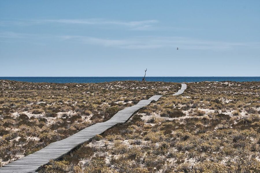 From Faro: Ria Formosa Hop-On Hop-Off 3 Islands Cruise - Culatra Island: Oyster Farms at Low Tide and Fishing-Culture Details