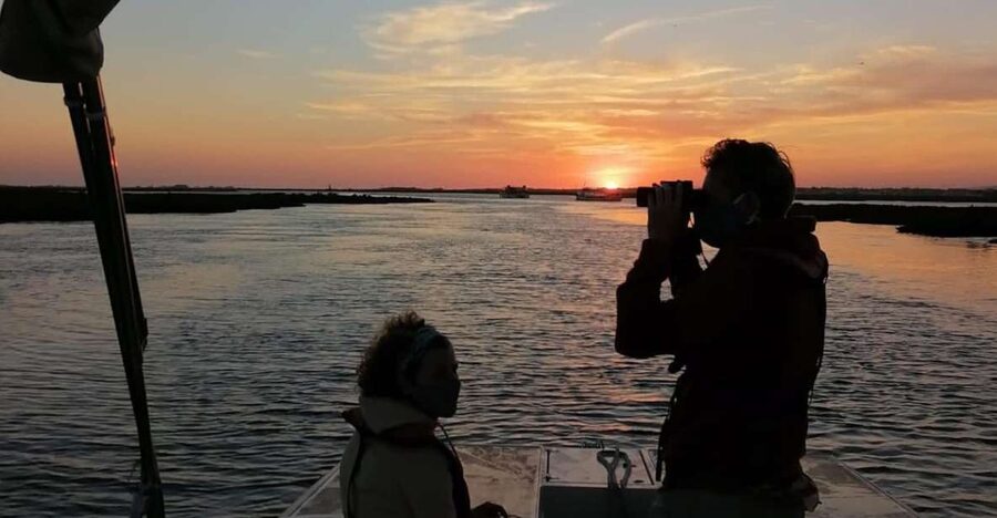 From Faro: Ria Formosa Sunset Boat Trip - A quiet sunset on the Ria Formosa from Cais das Portas do Mar