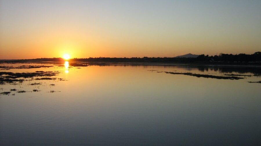 From Faro: Ria Formosa Sunset Boat Trip - The solar-powered boat experience, and why it feels different