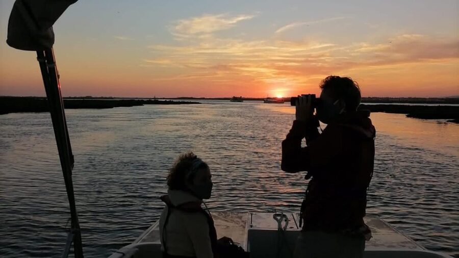 From Faro: Ria Formosa Sunset Boat Trip - What to bring, what to wear, and what to skip