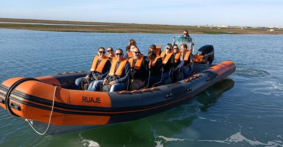 From Faro: Wildlife and Dolphin-Watching Speedboat Tour - Price and value: is $58 per person fair for what you get?