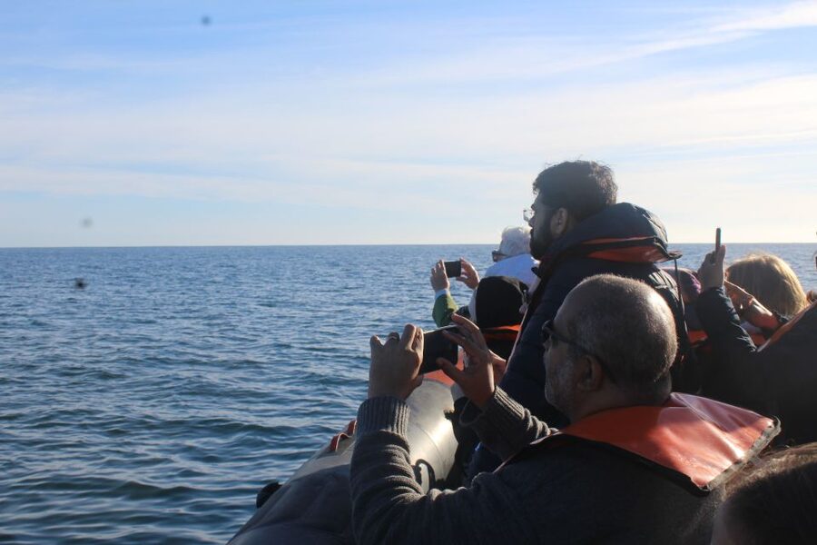 From Faro: Wildlife and Dolphin-Watching Speedboat Tour - Rua da Porta Nova meeting point and how the tour starts