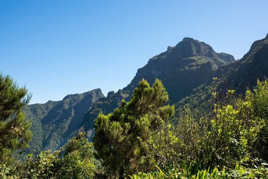 From Funchal: Best of Madeira's West Tour - Seixal and the Bridal Veil Waterfall Moment