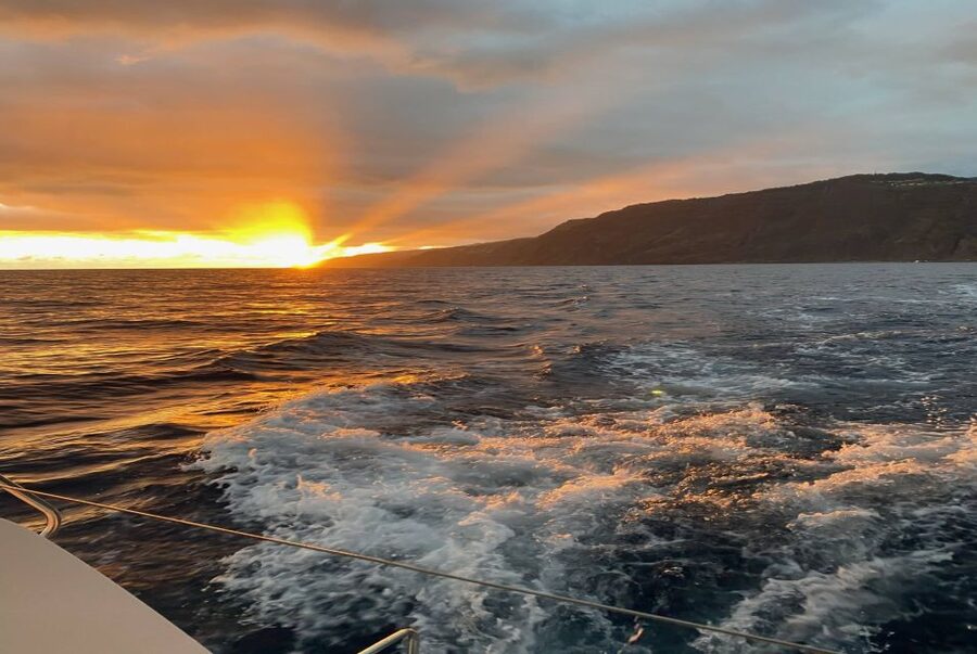 From Funchal: Cabo Girao Sunset Cruise on Luxury Catamaran - Marine Life Odds: Dolphins and Whales Without the Stress