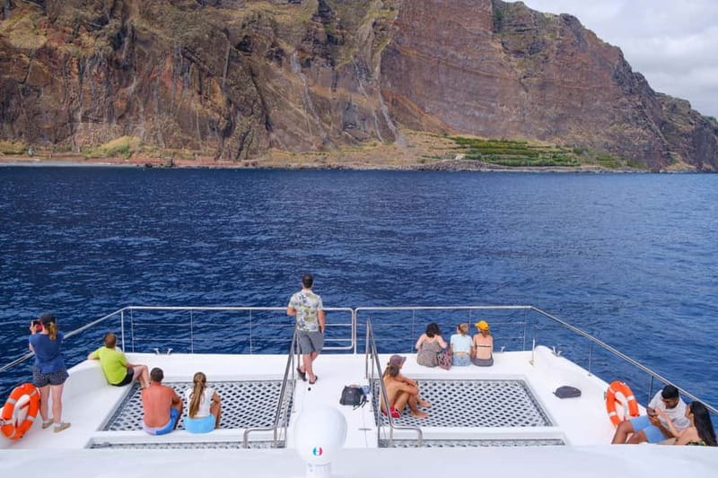 From Funchal: Ecological Catamaran Dolphin Whale Watching - Key highlights to pay attention to