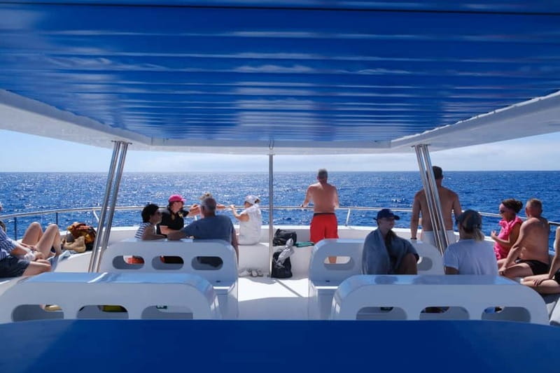 From Funchal: Ecological Catamaran Dolphin Whale Watching - Onboard setup for spotting fins and flukes: upper deck, nets area, and where to stand