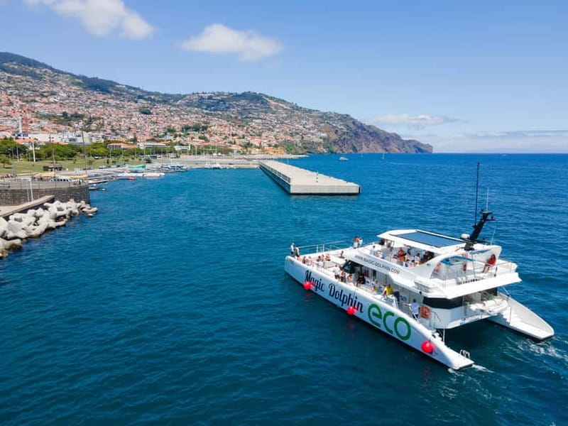 From Funchal: Ecological Catamaran Dolphin Whale Watching - Bar, comfort, and those small details that change the day