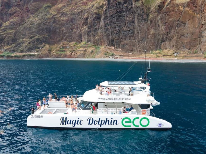 From Funchal: Ecological Catamaran Dolphin Whale Watching - Getting to Magic Dolphin in Funchal: timing matters more than you think