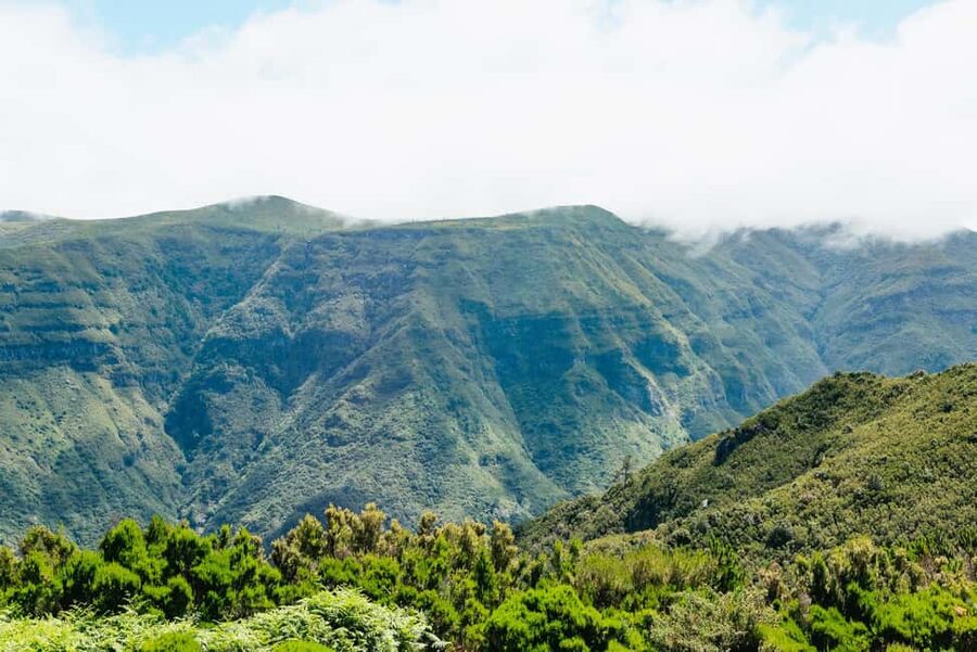 From Funchal: Fanal, Porto Moniz and Seixal Day Jeep Tour - Paúl da Serra plateau and Rochão coffee: high views and a quick recharge