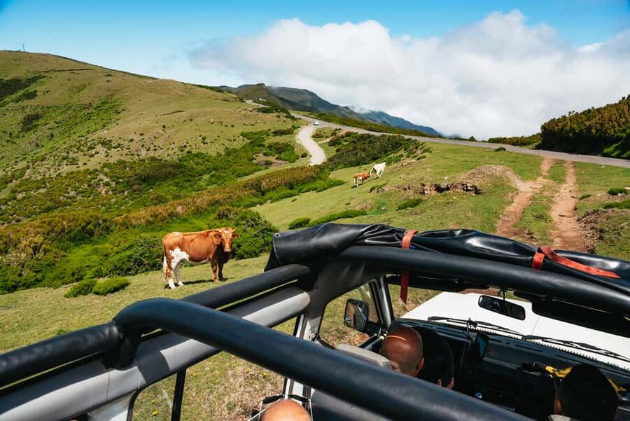 From Funchal: Fanal, Porto Moniz and Seixal Day Jeep Tour - Timing reality: enough viewpoints, but not every stop is long