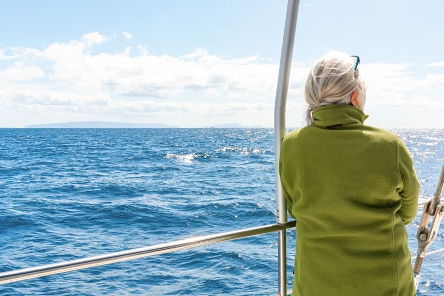From Funchal: Madeira Dolphin and Whale Watching Tour - The Catamaran Experience: Comfort, Space, and How the Crew Keeps It Smooth