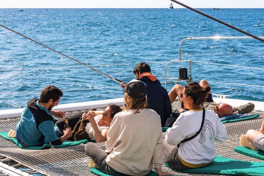 From Funchal: Madeira Dolphin and Whale Watching Tour - Cabo Girão Swim Stop: Europe’s High Sea Cliff, Up Close