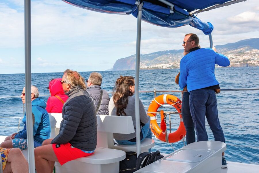 From Funchal: Madeira Dolphin and Whale Watching Tour - The Free Second Trip Catch: How the Policy Works and How to Use It
