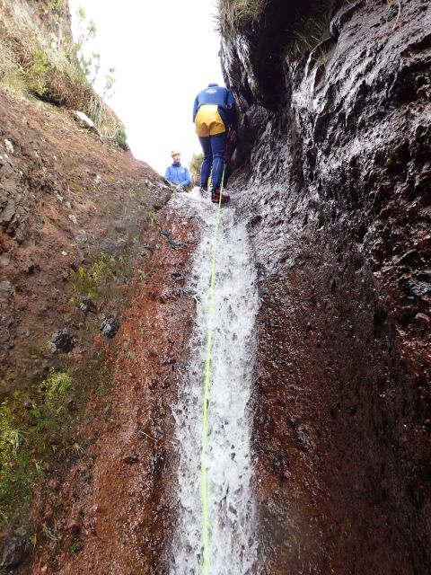 From Funchal: Madeira Island Canyoning for Beginners - Why Madeira beginner canyoning feels like a greatest-hits day