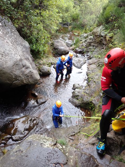 From Funchal: Madeira Island Canyoning for Beginners - Photos and videos that actually help you remember the day