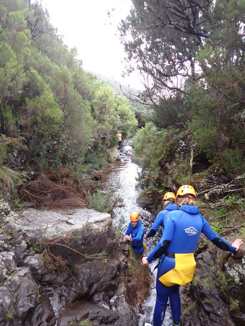 From Funchal: Madeira Island Canyoning for Beginners - Value for $82, what you are really paying for