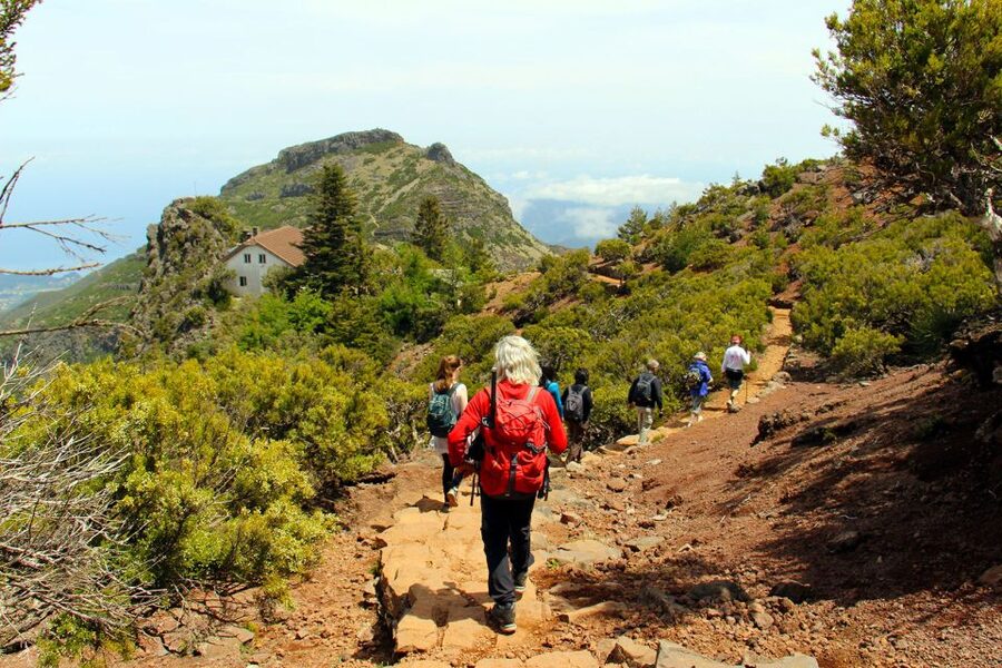 From Funchal: Madeira Peaks Mountain Walk - Key things that make this hike worth your time