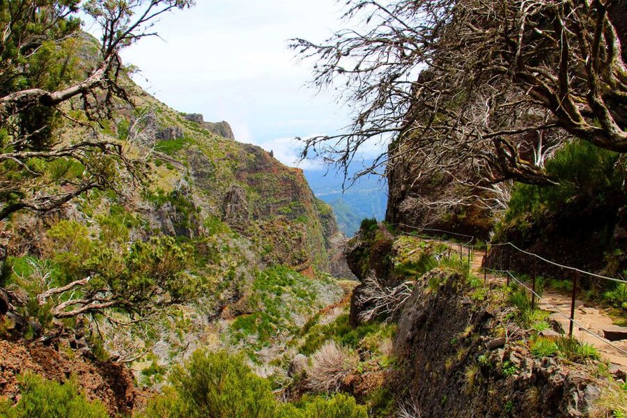 From Funchal: Madeira Peaks Mountain Walk - Weather can change the day, and you should plan for that