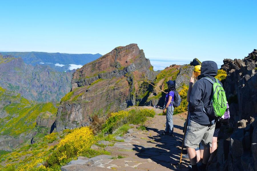 From Funchal: Madeira Peaks Mountain Walk - Pico Ruivo and the high-country feel that makes it special