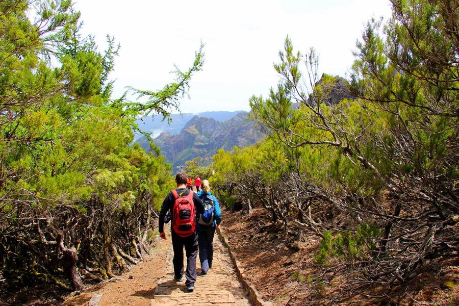 From Funchal: Madeira Peaks Mountain Walk - Reaching Pico Ruivo, then using your lunch break like a pro