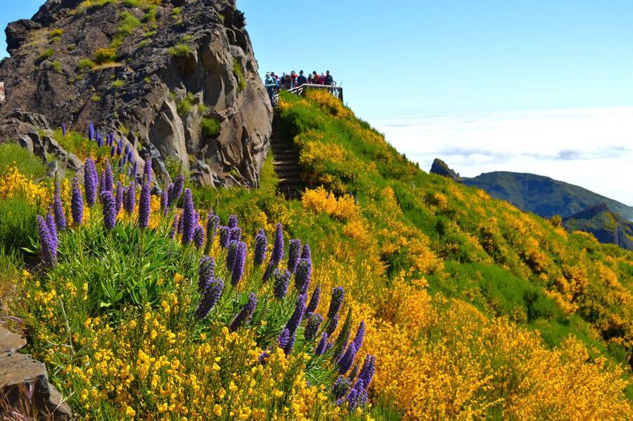 From Funchal: Madeira Peaks Mountain Walk - How hard is it, really, and who should be cautious