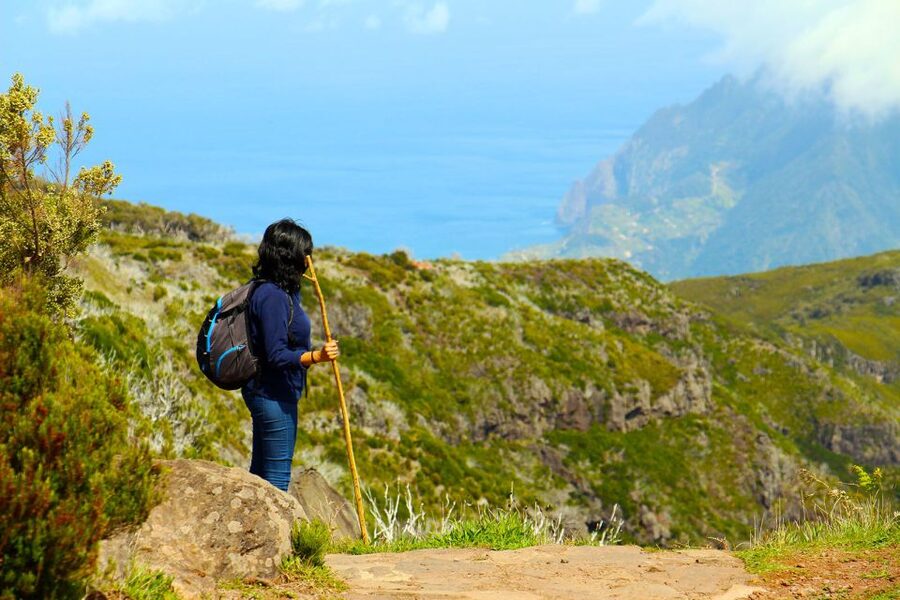 From Funchal: Madeira Peaks Mountain Walk - Price and value: what $50 buys you in the real world