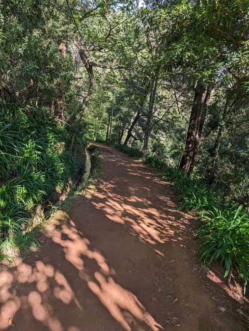 From Funchal: Pico Arieiro Sunrise with Optional Breakfast - Paradise Valley and Camacha after breakfast: a short walk that still feels like Madeira