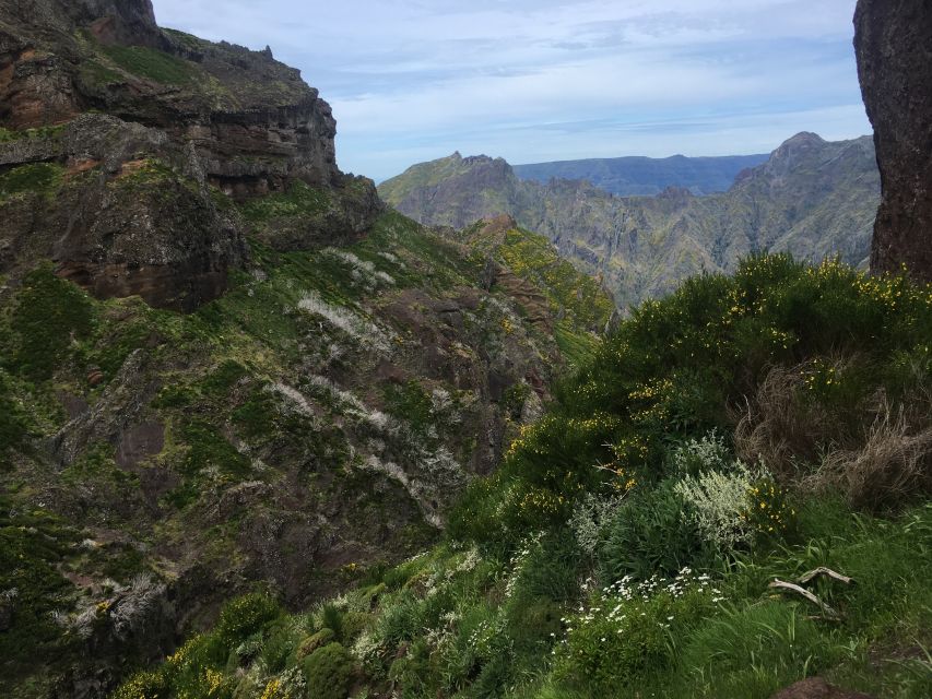 From Funchal: Santana and Pico do Areeiro East Island Tour - East Madeira in One Day: How This Tour Feels From Pickup to Drop-Off