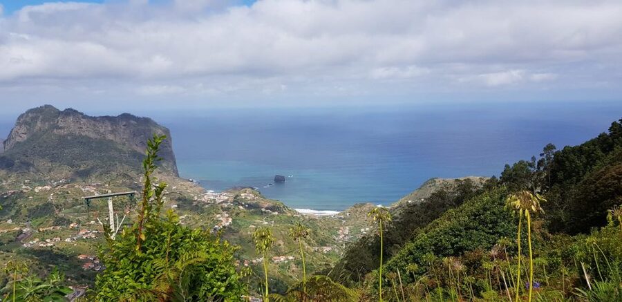 From Funchal: Santana and Pico do Areeiro East Island Tour - Price and Value: What $49 Buys You in Madeira Time
