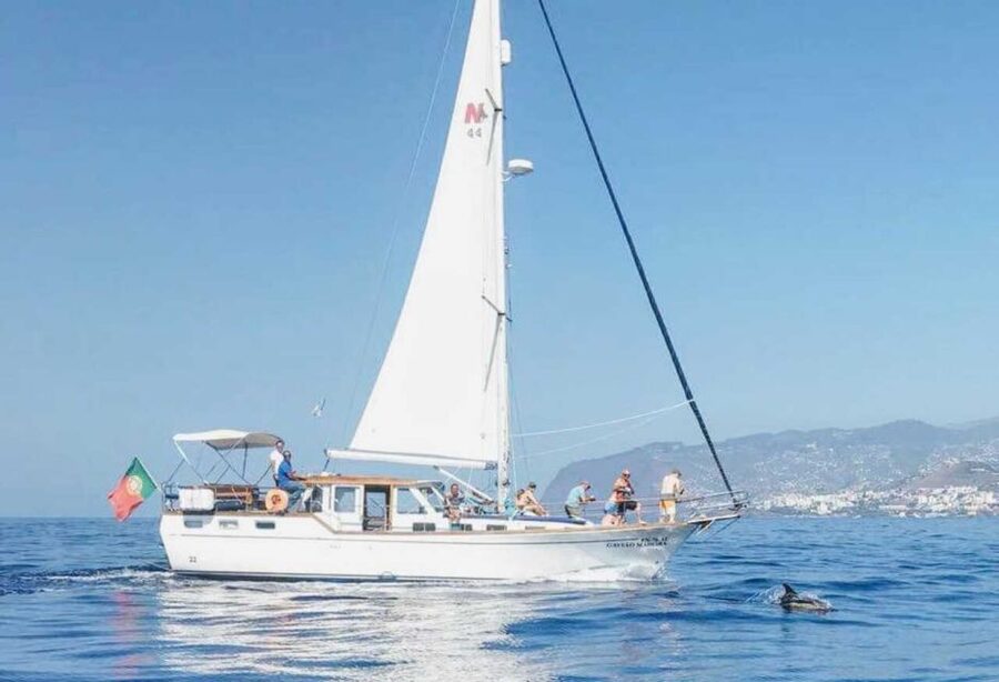 From Funchal: West Bays Sailing Tour with Lunch - From Praça do Povo to the yacht: how the day starts in Funchal