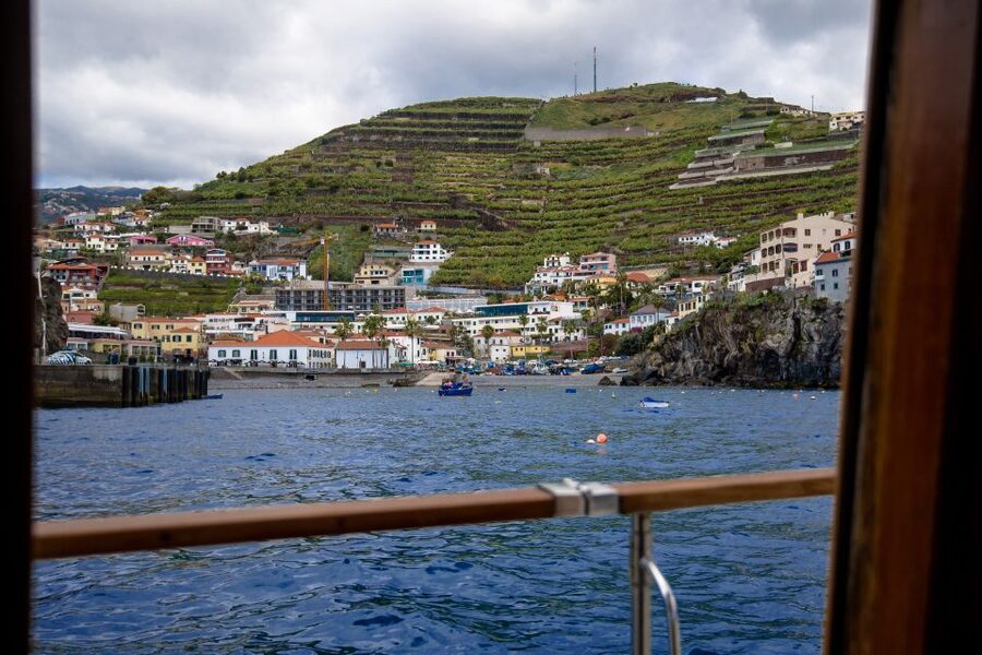 From Funchal: West Bays Sailing Tour with Lunch - Wildlife spotting up to 3 miles out, with real expectations