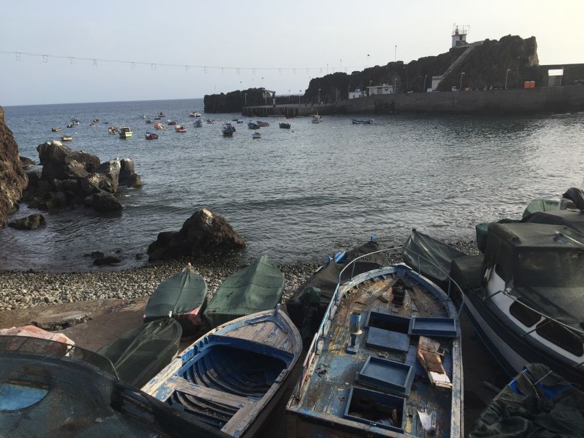 From Funchal: West Madeira and Laurel Forest Day Trip - Câmara de Lobos, Churchill vibes, and terrace farming on the way to Cabo Girão