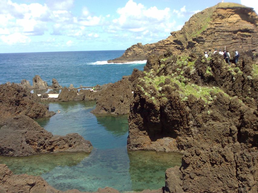 From Funchal: West Madeira Waterfalls and Fanal Forest Tour - Key Points You’ll Feel Immediately