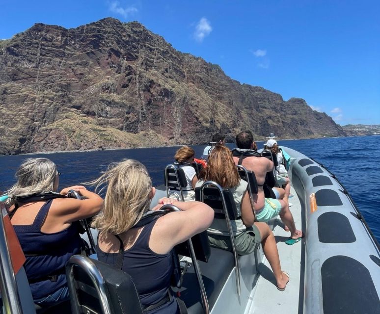From Funchal: Whale and Dolphin Watching - Why Madeira’s coast is made for cetaceans