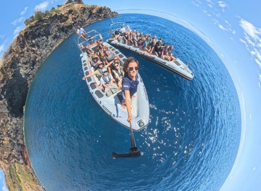 From Funchal: Whale and Dolphin Watching - How land spotters shape your time at sea