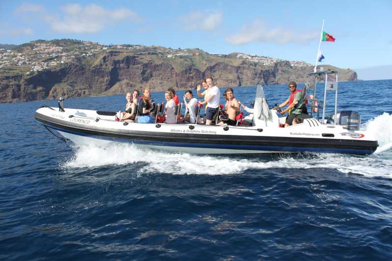 From Funchal: Whales and Dolphin Adventure Tour - Why This Madeira Speedboat Tour Feels Different