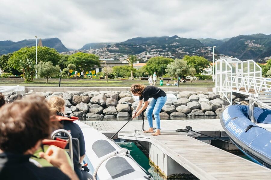 From Funchal: Whales and Dolphin Adventure Tour - What the guides do beyond spotting: respecting the animals