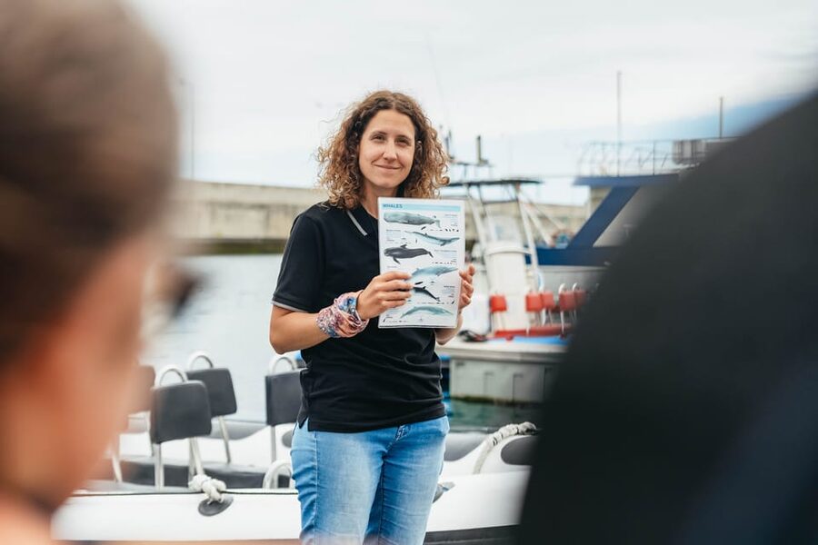 From Funchal: Whales and Dolphin Adventure Tour - Entering the water with dolphins: the best-case scenario and the guardrails