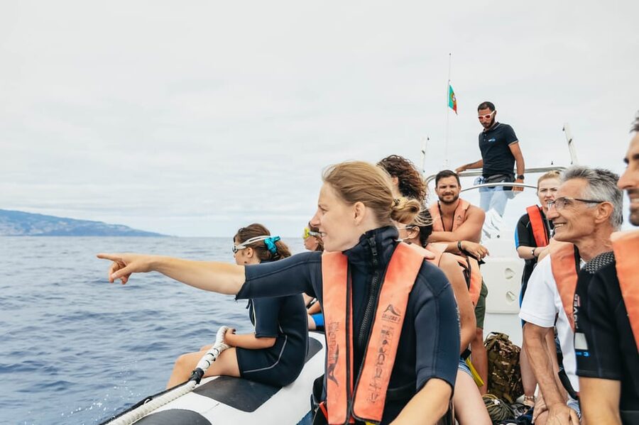 From Funchal: Whales and Dolphin Adventure Tour - How the ride fits into your Madeira plan