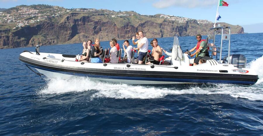 From Funchal: Whales and Dolphin Adventure Tour - The 2-hour speedboat run: how the crew finds whales and dolphins
