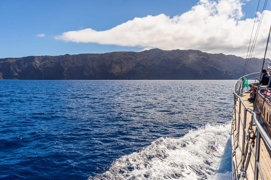 From Funchal: Wooden Boat Excursion to Desertas Island - The Atlantic crossing: why the route can mean more marine life