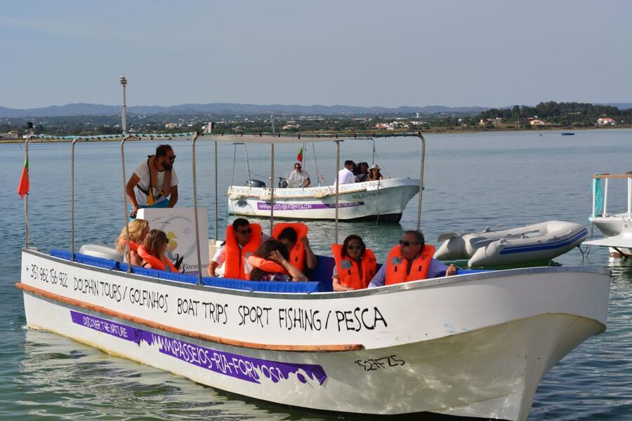 From Fuzeta: 2-Hour Southeast Ria Formosa Boat Trip - Birdwatching on the water: what to look for and when it helps