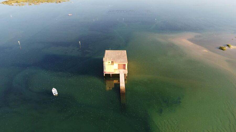 From Fuzeta: 2-Hour Southeast Ria Formosa Boat Trip - Armona Island: coffee or a swim in clear water