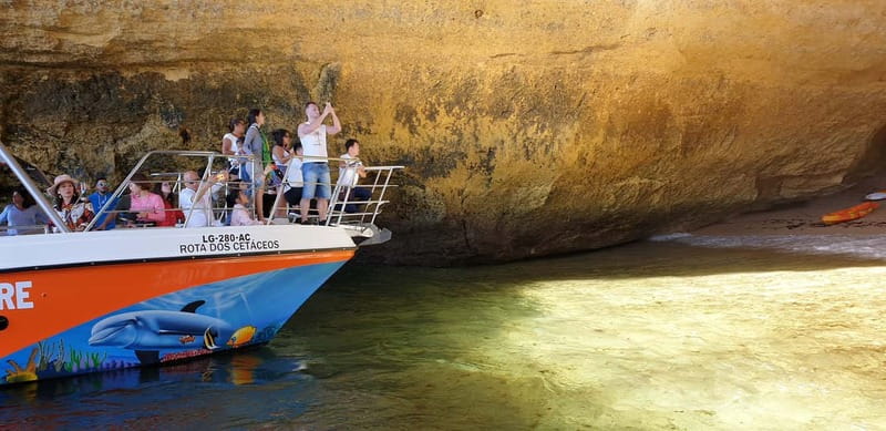 From Lagos: Benagil Caves Catamaran Cruise - Lagos to Benagil: why this catamaran route hits the sweet spot