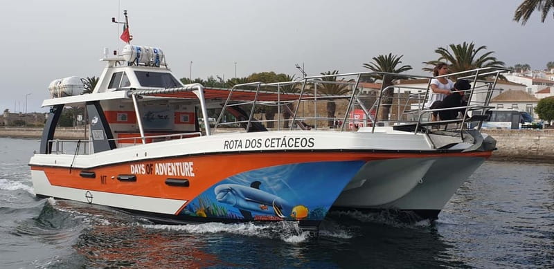 From Lagos: Benagil Caves Catamaran Cruise - The swim stop near Benagil: fun, but only with good sea conditions
