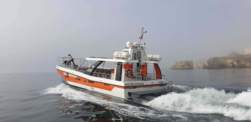 From Lagos: Benagil Caves Catamaran Cruise - Price and value: what $47 buys you for 2.5 hours on the water