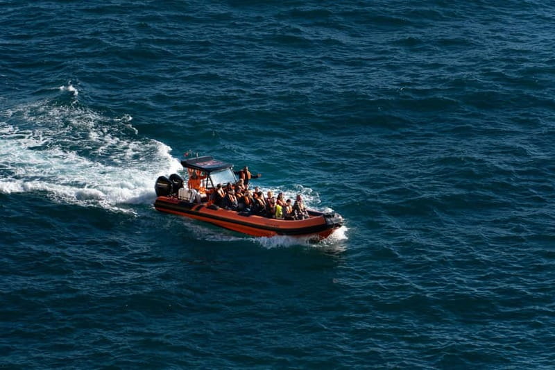 From Lagos: Benagil Caves Speedboat Adventure - Wildlife moments off the Algarve coast: dolphins are a big plus