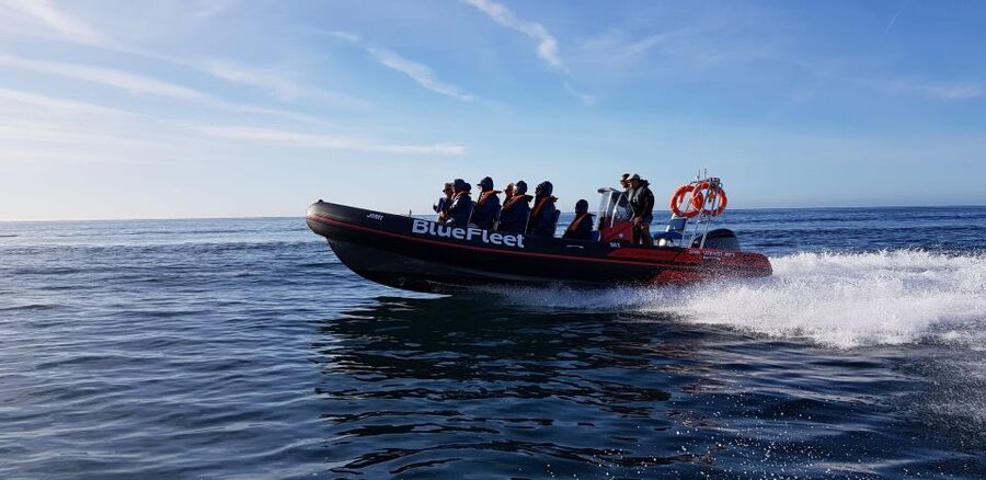 From Lagos: Boat Cruise to Benagil - The RHIB setup (max 18) and how to pick your seat