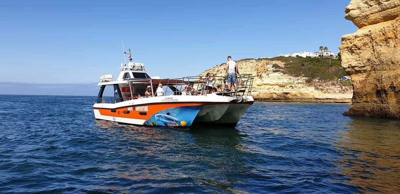 From Lagos: Dolphin Watching Catamaran Cruise - Key highlights you should care about
